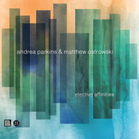 Valence - Andrea Parkins & Matthew Ostrowski