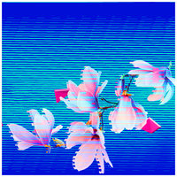 One Two Three - Bohan Phoenix & Lofimaker