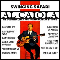 Theme from "Dr Kildare" - Al Caiola & The Manhattan Strings