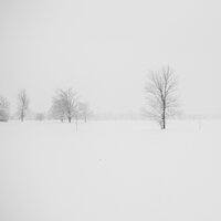 A Dash of Christmas - Xmas Collective & Last Christmas Stars & Classic Carols