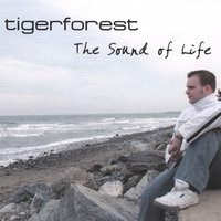 A New Beginning... - Tigerforest