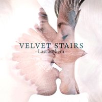 Shelter - Velvet Stairs