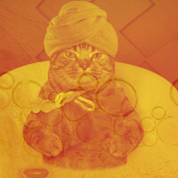 Majestic Ambience for Cozy Kittens - Music for Resting Cats