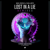 Lost in a Lie - Nigel Stately & T.O.M & Betti & D'andre