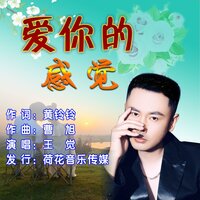 爱你的感觉 - 王觉