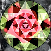 Honey - Daniele Baldi