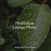 Calm Beneath the Surface - Sleep Songs 101 & Pink Noise & Tibetan Singing Bowls for Relaxation