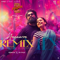 Angaaron Remix - Shreya Ghoshal & Kedrock & SD Style