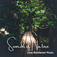Uncloudy Waterways - Rainforest Meditations & The Rainforest Collective & Rainforest Sounds