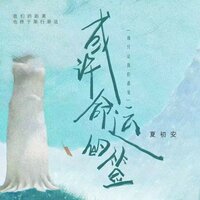 或许命运的签 - 夏初安 & DJ婷婷