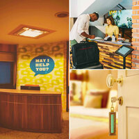 Magical Dinner and Drinks - French Café Jazz