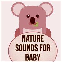 Lullaby Sounds - Sweet Baby Lullaby World