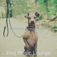 Glorious Solo Piano Jazz - Vibe for Reducing Dog Stress - Dog Music Lounge