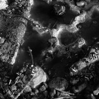 Jerikó - Indigo & Dan Pinto & Ob