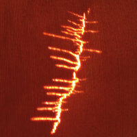 Skankification - Fire & Gianni Denitto & Ivan Bert & FiloQ & pasquale mirra & Adrian Sherwood