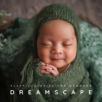 Lullaby Playlist - Sleep Lullabies for Newborn