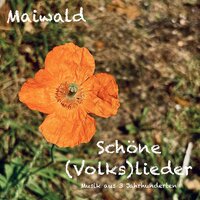 Ich bin Soldat, doch bin ich es nicht gerne - Maiwald