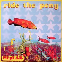 Ride The Pony - Peplab