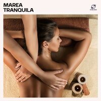 Susurro del Bosque - Masajes Spa & Musica Reiki & Terapia de Masaje & Música de Curación