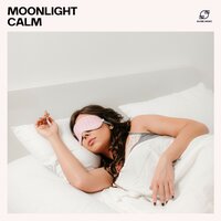 Tranquil Echoes - The Deep Sleep Music Academy & Deep Sleep Academy & Calm Sleep Zone & Sleep Music Collection