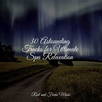 Starlit Nights - Chakra Balancing Sound Therapy & Meditation & Stress Relief Therapy & Academia de Música con Sonidos de la Naturaleza