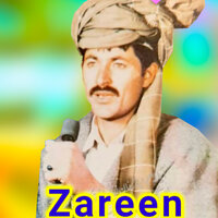 Watan Di Waya Salmoona - Zareen