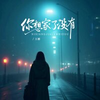 你想家了没有 - 王娜