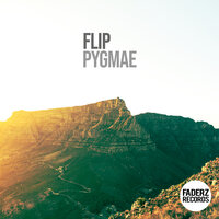 Pygmae - Flip