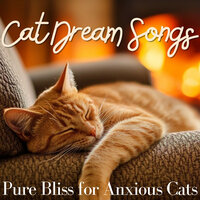 Nestled in Knits - RelaxMyCat & Cat Music Dreams & Cat Music Zone