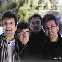 The pulse of an irishman - Wolfgang Holzmair & Trio Wanderer & Ludwig van Beethoven