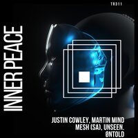 Show You - MESH (SA) & Unseen.