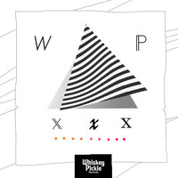 Indigo - Daniel Allen & Used Manatee Salesman