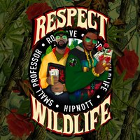 Respect Wildlife - Small Professor & Rob Cave