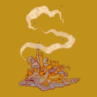 Bitter Cocona - spinitch