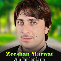 Pa Kurmy Walo Maa Salam Dy - Zeeshan Marwat