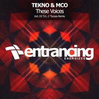 These Voices - Tekno & MCO