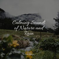 Garden Rains - Asian Zen Spa Music Meditation & Mindfulness Meditation Universe & Rain for Deep Sleep