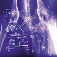 Dazzled - Thao Nguyen