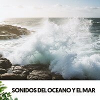 Tranquilidad armoniosa - Dog Relaxation & Ocean Sounds Plus & Slow Sex Music