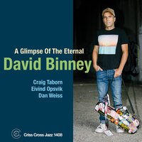 Nightfall - David Binney & Craig Taborn & Eivind Opsvik & Dan Weiss & David Binney Quartet & Ralph Towner