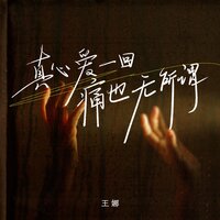 真心爱一回痛也无所谓 - 王娜