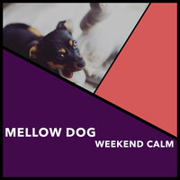 Golden Warmth Skies - Puppy Music & Puppy Music Therapy