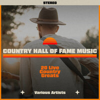 Okie From Muskogee - Preservation Hall Jazz Band