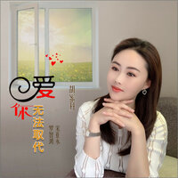 爱你无法取代 - 胡蜜丹