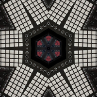 May 12 2019 - Bass Kittens