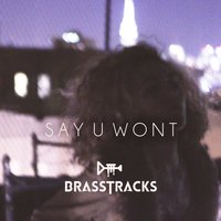 Say U Won't - Brasstracks