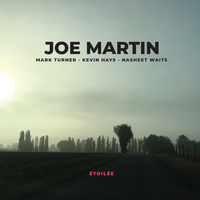 Two Birds - Joe Martin