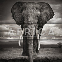 Глаза - Мэйти