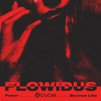 Pozor - Flowidus