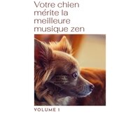 Lost in Memory - Musique pour Chiens & Musique Relaxante pour Chiens & Musique Zen!